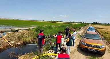 Çanakkale’de çeltik Ekiliş Alanlarında Denetimler Aralıksız Devam Ediyor.