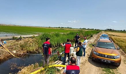 Çanakkale’de çeltik Ekiliş Alanlarında Denetimler Aralıksız Devam Ediyor.