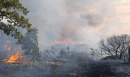 Çanakkale Valiliği,“Ateşle tarım arazilerine yaklaşmayın!”