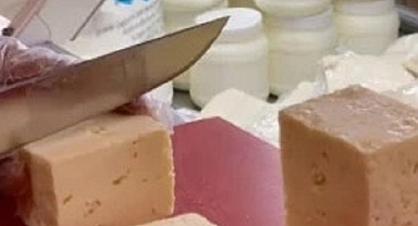 ÇOMÜ Peynircilik Uygulama ve Araştırma Merkezi Kuruldu