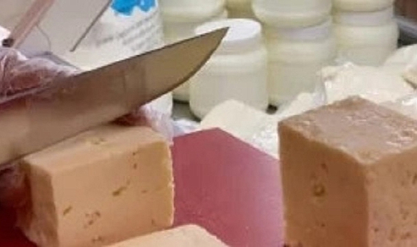 ÇOMÜ Peynircilik Uygulama ve Araştırma Merkezi Kuruldu