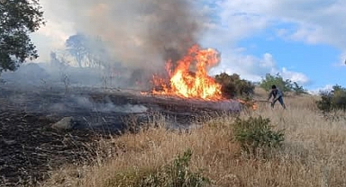 Çanakkale'de Haziran Ayı İçinde 31 Yangın Meydana Geldi