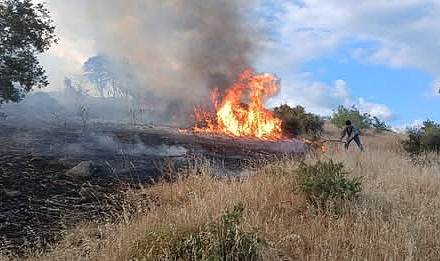 Çanakkale'de Haziran Ayı İçinde 31 Yangın Meydana Geldi