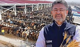 Bakan Yumaklı Açıkladı, Çanakkale Dahil 8 İlde Şap Hastalığı Baskı Altına Alındı