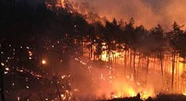 Bakanlık Açıkladı, ''Çanakkale’deki Yangınlarla Madencilik İddiaları Arasında Bağ Yok''