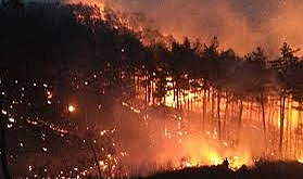 Bakanlık Açıkladı, ''Çanakkale’deki Yangınlarla Madencilik İddiaları Arasında Bağ Yok''