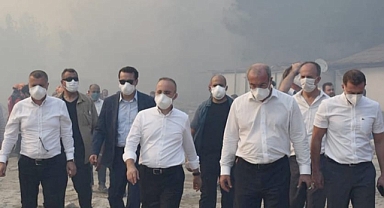 Bülent Turan, 'Yanan her santimetrekaresini yeniden yeşerteceğiz.'