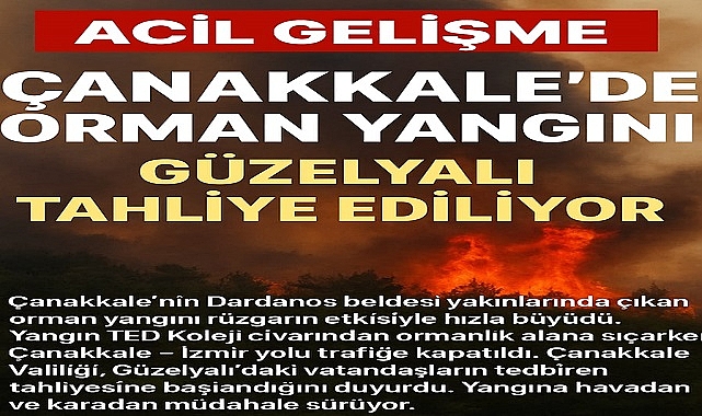 Çanakkale'de Orman Yangını, Güzelyalı'da Tahliye Başladı !