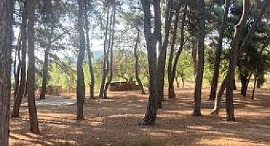 Çanakkale Valiliği, 51 Sahipsiz Hayvan Kısırlaştırılıp Güvenli Alanlara Taşındı