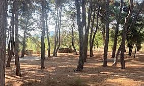 Çanakkale Valiliği, 51 Sahipsiz Hayvan Kısırlaştırılıp  Güvenli Alanlara Taşındı