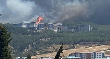 Çanakkale Valiliği'nden Orman Yangınları Hakkında Açıklama ve Uyar ı