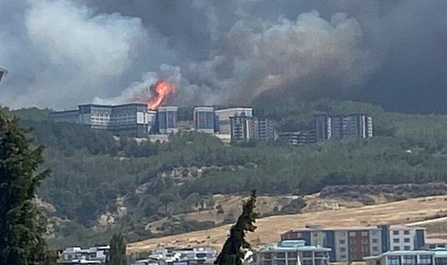 Çanakkale Valiliği'nden Orman Yangınları Hakkında Açıklama ve Uyar ı