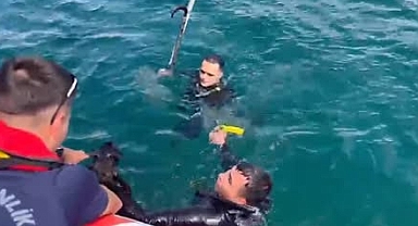 Sahil Güvenlik Ekibinden, Kedi Kurtarma Operasyonu