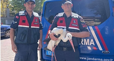 “Jandarma, Bayramiç’te Yaralı Leyleğe Umut Oldu”