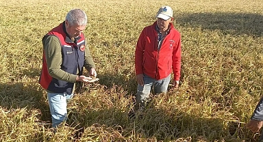 Çanakkale’de Dolu Yağışı Sonrası Hasar Tespit Çalışmaları Başladı