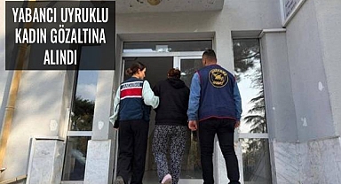 Ayvacık’ta Bulunan Bebek Cesedi Soruşturmasında Bir Kişi Gözaltına Alındı