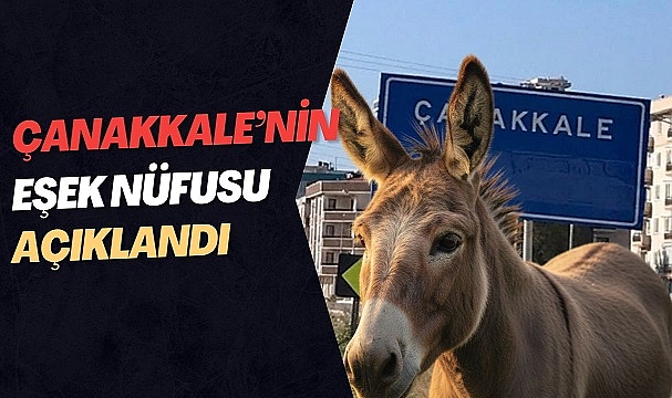 Kırsal Hayatın Simgesi: Çanakkale’de Eşekler Hâlâ İş Başında