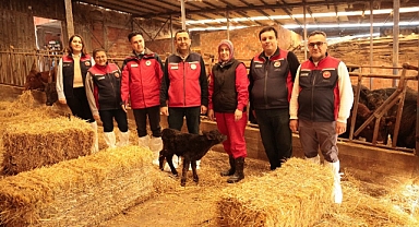 Kırsalda Bereket Projesi Çanakkale’de Başladı, 'İlk Damızlıklar Üreticiyle Buluştu''