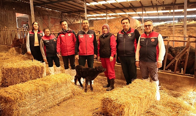 Kırsalda Bereket Projesi Çanakkale’de Başladı, 'İlk Damızlıklar Üreticiyle Buluştu''