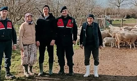 Biga'da Kayıp 24 Küçükbaş Hayvanı Jandarma  Drone ile Buldu