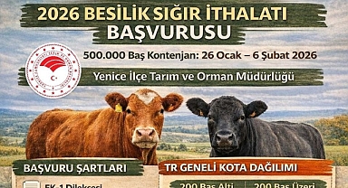 Çanakkale Yenice İlçesinde 2026 Yılı Besilik Sığır İthalatı Başvuruları Başlıyor