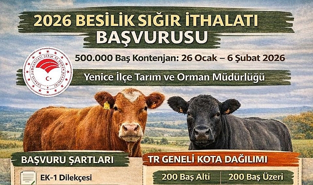 Çanakkale Yenice İlçesinde 2026 Yılı Besilik Sığır İthalatı Başvuruları Başlıyor