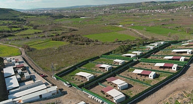 Çanakkale Valiliği’nden Sahipsiz Hayvan Çalışmalarına İlişkin Açıklama