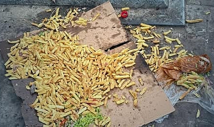 Kepez Belediye Başkanı Birol Arslan’dan Sokak Hayvanları İçin Duyarlı Besleme Çağrısı