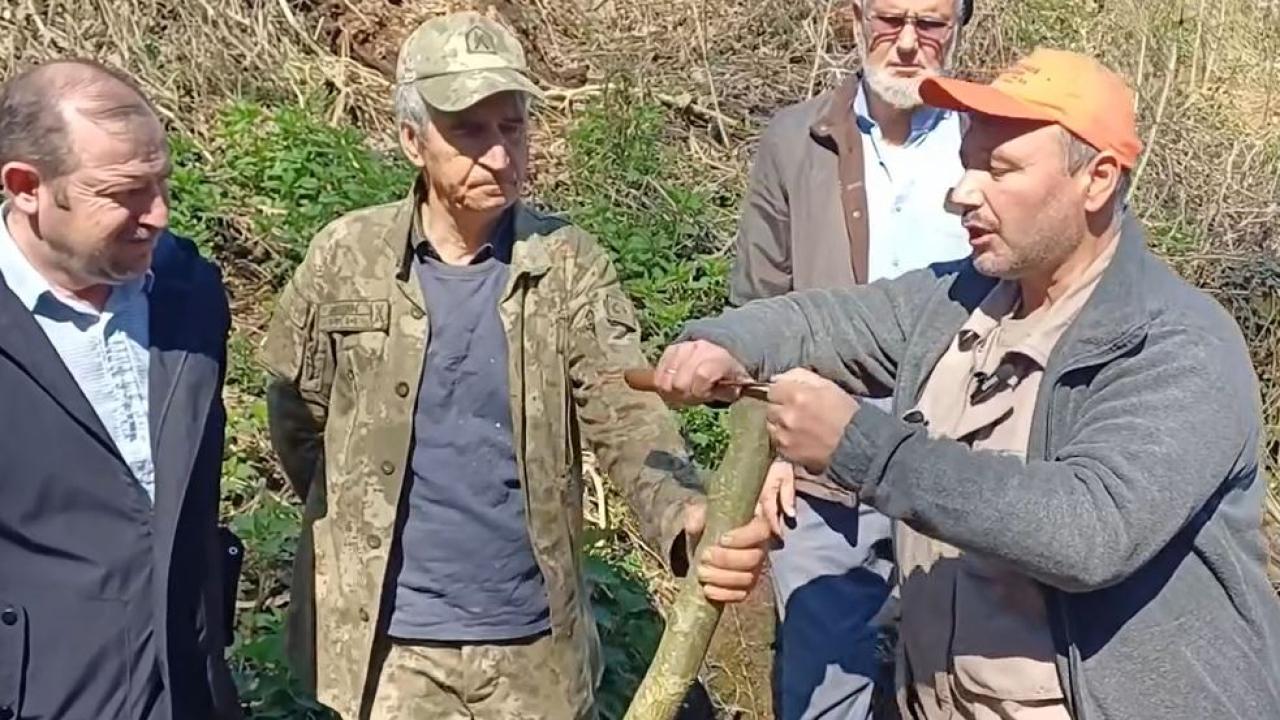 DALINDA DEVRİM: “Aşı Akademisi” ile Çanakkale’de Meyvecilik Yeniden Şekilleniyor